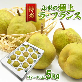 【ふるさと納税】【特秀】山形の極上 ラフランス 特秀品 約5kg(12～16玉) fz23-319 洋梨 ラ・フランス 果物 くだもの フルーツ お取り寄せ 送料無料 洋なし