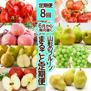 yӂ邳Ɣ[Łz8񁚁y6疈͂zR`̃t[c܂邲ƒ yߘa8NYs\zFS25-637  ʕ t[c R` R` R`s  2026NY