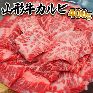 yӂ邳Ɣ[ŁzR` Jr 400g FZ23-413 R`   uh