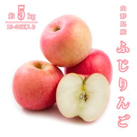 【ふるさと納税】山形産 ふじりんご 秀 約5kg(13～20玉) fz23-419 くだもの フルーツ りんご リンゴ 果物 お取り寄せ 送料無料