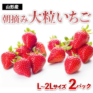yӂ邳Ɣ[Łz^ԂɈ~ґIEݑ嗱 fz23-439