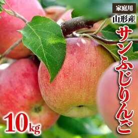 【ふるさと納税】【家庭用】山形産 サンふじりんご 優品以上 10kg fz23-452 りんご リンゴ