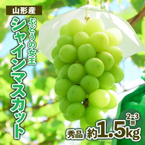 yӂ邳Ɣ[Łz R`Y Ԃǂ̏ VC}XJbg Gi 1.5kg | Yn { fz23-479