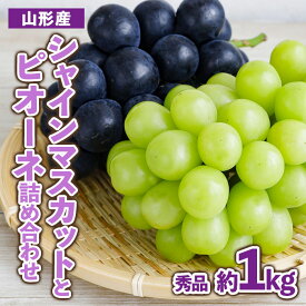 【ふるさと納税】山形産 ぶどう シャインマスカットとピオーネ詰め合わせ 秀品 約1kg 【令和6年産先行予約】FU23-480 フルーツ くだもの 果物 お取り寄せ 先行予約 山形 山形県 山形市 送料無料 ぶどう 葡萄 ブドウ