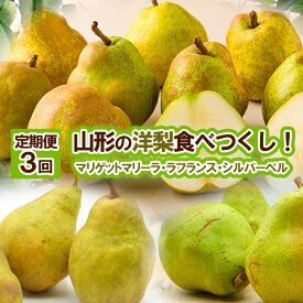 【ふるさと納税】★定期便3回★山形の洋梨食べつくし！(マリゲットマリーラ・ラフランス・シルバーベル) 【令和8年産先行予約】FS25-688くだもの 果物 フルーツ 山形 山形県 山形市 お取り寄せ 先行予約 2026年産