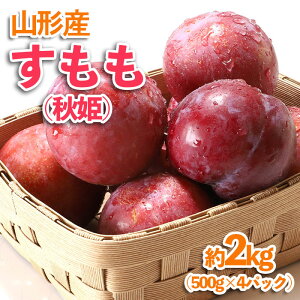 yӂ邳Ɣ[ŁzR`Y (HP) 2kg(500g×4pbN) yߘa7NYs\zFU23-536  ʕ t[c R` R` R`s 2025NY