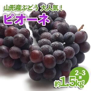 yӂ邳Ɣ[ŁzR`Y Ԃǂ lCIsI[l 1.5kg yߘa7NYs\zFU23-537  ʕ t[c R` R` R`s 2025NY