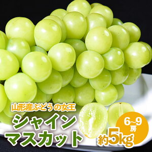 yӂ邳Ɣ[Łz R`Y Ԃǂ̏VC}XJbg5kg | Yn { FY23-540