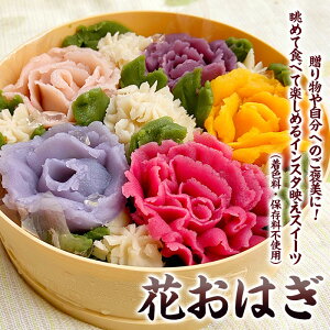 yӂ邳Ɣ[ŁzjLOɁuԂ͂v aَq Mtg fz23-546 ͂ ͂  CX^fXC[c 񂹃XC[cOv FȂ ۑȂ
