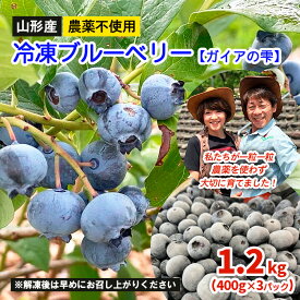 【ふるさと納税】山形産 農薬不使用 冷凍ブルーベリー【ガイアの雫】1.2kg(400g×3)★真空包装★ fz23-582 無農薬 無添加 ブルーベリー 山形
