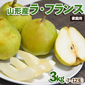 yӂ邳Ɣ[ŁzyƒpzR`Y EtX 3kg (7`12) fz23-602 p ƒp 󂠂 KiO