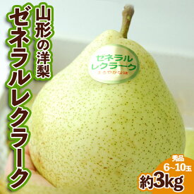 【ふるさと納税】山形の洋梨ゼネラルレクラーク 秀品 約3kg (6～10玉) 【令和6年産先行予約】FU23-651