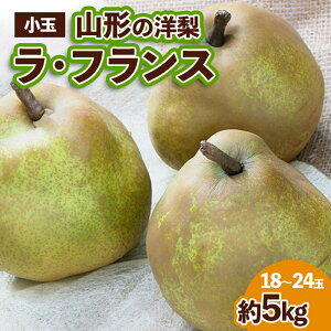 yӂ邳Ɣ[ŁzR`̗m tX Di 5kg (2L`M/18`24) fz23-652