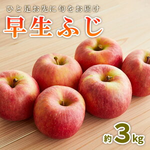 yӂ邳Ɣ[ŁzЂƑɏ{͂ ӂ Gi 3kg yߘa7NYs\zFS23-658