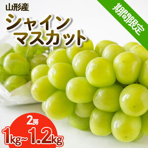 yӂ邳Ɣ[ŁzyԌz󏭁I~̃VC}XJbg Gi 2[ (1kg`1.2kg) FY25-903