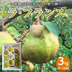 yӂ邳Ɣ[Łz`ʕR`̑蕨`EtX G3kg FY23-707