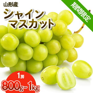 yӂ邳Ɣ[ŁzyԌz󏭁I~̑嗱[̃VC}XJbg Gi 1[(800g`1kg) FY25-904