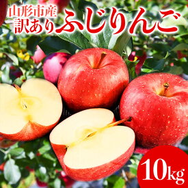 【ふるさと納税】山形市産 家庭用 【訳あり・ふじりんご】10kg (32~56玉)※数量限定 FY23-713