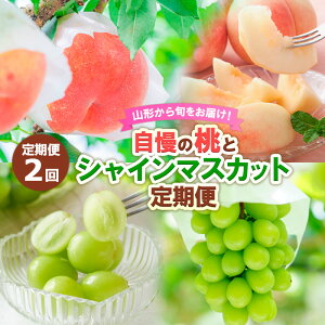 yӂ邳Ɣ[Łzy2zR`{͂I̓ƃVC}XJbg yߘa8NYs\zFS24-501  ʕ t[c R` R` R`s  2026NY