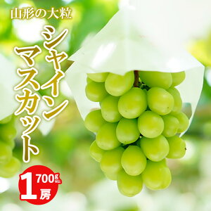 yӂ邳Ɣ[ŁzR`̑[VC}XJbg 700gȏ 1[ yߘa8NYs\z FS24-009  ʕ t[c R` R` R`s  2026NY