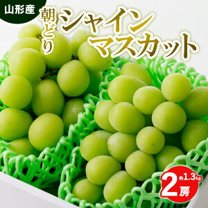 yӂ邳Ɣ[ŁzǂVC}XJbg Gi 2[ 1.3kgyߘa7NYs\z FS24-010  ʕ t[c R` R` R`s 2025NY