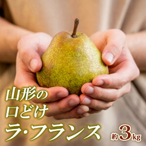 yӂ邳Ɣ[ŁzR`̌ǂEtX Gi 3kg FY24-011