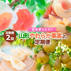 yӂ邳Ɣ[Łzy2zÂIR`炩ʎ̒ yߘa8NYs\zFS24-013  ʕ t[c R` R` R`s  2026NY