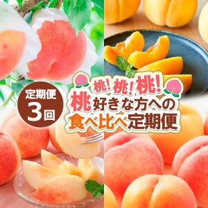 yӂ邳Ɣ[Łzy3zIIIDȕւ̐Hהגցyߘa8NYs\z FS24-017  ʕ t[c R` R` R`s  2026NY