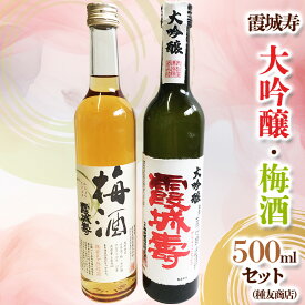 【ふるさと納税】霞城寿 大吟醸・梅酒 500ml×2本セット[種友酒店] FY24-025