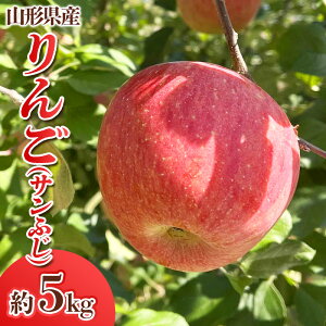 yӂ邳Ɣ[ŁzR`Y  (Tӂ) 5kg(14`25) FY24-028