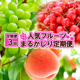 【ふるさと納税】【定期便3回】人気フルーツ まるかじり定期便 FY25-826