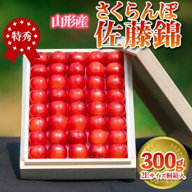 【ふるさと納税】さくらんぼ 「佐藤錦」 300g 特秀品 2Lサイズ 桐箱入 山形産 FY24-033