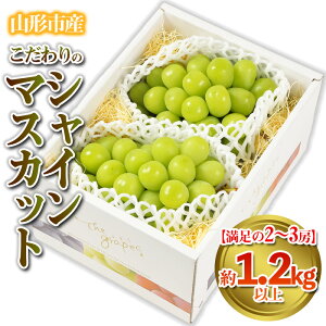 yӂ邳Ɣ[Łzy2`3[z̃VC}XJbg 1.2kg R`sY (9{`10{)yߘa7NYs\z FS24-544  ʕ t[c R` R` R`s 
