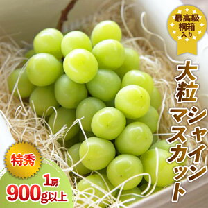 yӂ邳Ɣ[Łzō˔ 嗱 VC}XJbg Gi 900gȏyߘa8NYs\zFS24-043 ʕ t[c R` R` R`s  s\ 2026NY