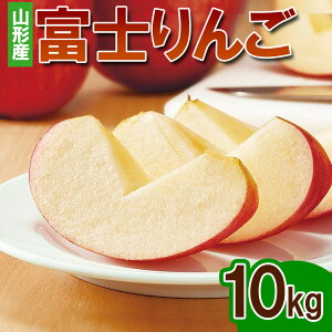 yӂ邳Ɣ[Łzxm G 10kg(24ʁ`40) FY24-073