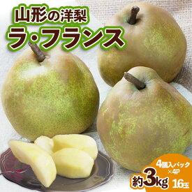 【ふるさと納税】山形の洋梨 ラフランス 優品 約3kg 16玉(4個入×4P)発送月を選べる【令和8年産先行予約】FS25-738 FS25-786 FS25-787