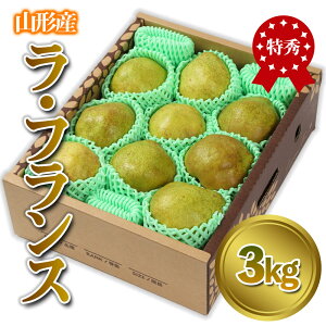 yӂ邳Ɣ[ŁzR`Y uEtXv Gi 3kg (8`13)yߘa7NYs\z FS24-086