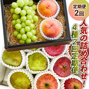 yӂ邳Ɣ[Łzy2zlC̋lߍ킹I42ցyߘa8NYs\z FS24-087 ʕ t[c R` R` R`s 2026NY