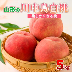 yӂ邳Ɣ[ŁzR`̐쒆 5kg (10`16) [_炩Ȃ铍]yߘa8NYs\zFS24-565 ʕ t[c R` R` R`s  s\ 2026NY