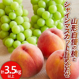 【ふるさと納税】山形自慢の桃とシャインマスカットの詰め合わせ 秀品 3.5kg 以上【令和8年産先行予約】 FS24-153くだもの 果物 フルーツ 山形 山形県 山形市 お取り寄せ 先行予約 2026年産