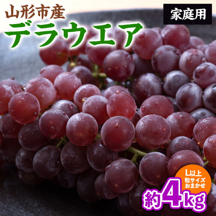 楽天市場】【ふるさと納税】【ご家庭用】山形のデラウェア L以上 約4kg 