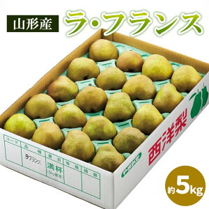 yӂ邳Ɣ[ŁzR`̃EtX Gi 5kg(12`20) FY25-828
