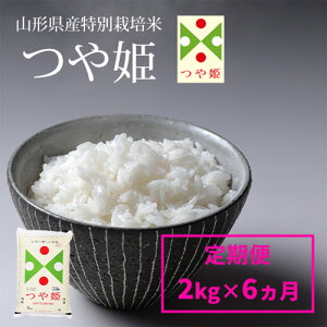 yӂ邳Ɣ[Łzߘa7NYy6zR`Y ʍ͔| P 2kg×6(v12kg) FZ24-304