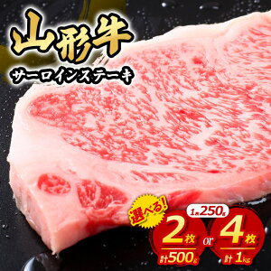 yӂ邳Ɣ[ŁzR` T[CXe[L 250g Iׂ 2 4 500g 1kg 1000g FY23-446 јa uh ē I Ε j Xe[L T[C R`