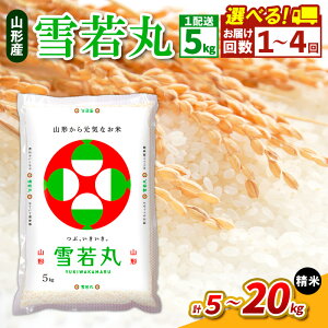 yӂ邳Ɣ[Łzߘa7NY R`Y   5kg FY24-537 1 2 3 4  z  Iׂ