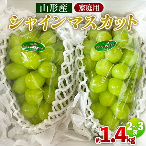 yӂ邳Ɣ[ŁzyƒpzVC}XJbg 1.4kg 2`3[ FY25-002