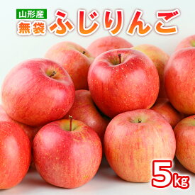 【ふるさと納税】山形産 無袋 ふじりんご 秀5kg(13〜20玉)【令和8年産先行予約】FS25-774