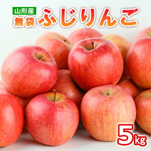 yӂ邳Ɣ[ŁzR`Y  ӂ G5kg(13`20) FY25-012