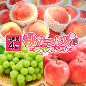 【ふるさと納税】【定期便4回】桃たっぷり便〜ぶどうとりんごも〜 【令和8年産先行予約】FS25-689くだもの 果物 フルーツ 山形 山形県 山形市 お取り寄せ 先行予約 2026年産