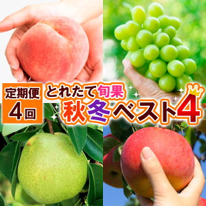 yӂ邳Ɣ[Łzy4zƂꂽď{ H~xXg4 yߘa8NYs\zFS25-690 ʕ t[c R` R` R`s  s\ 2026NY